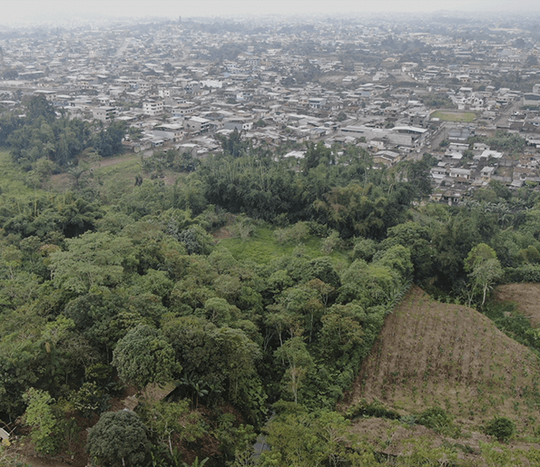 SANTO DOMINGO DE LOS TSÁCHILAS, ECUADOR