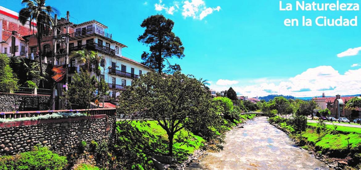 La naturaleza en la ciudad