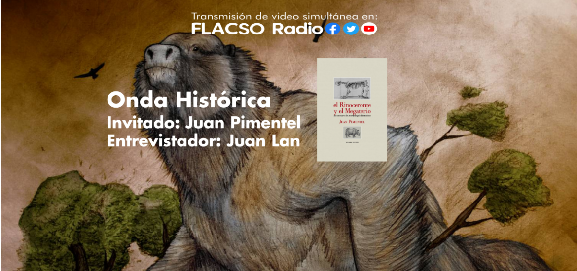 Onda Histórica. "El Rinoceronte y el Megaterio, un ensayo de morfología histórica" de Juan Pimentel