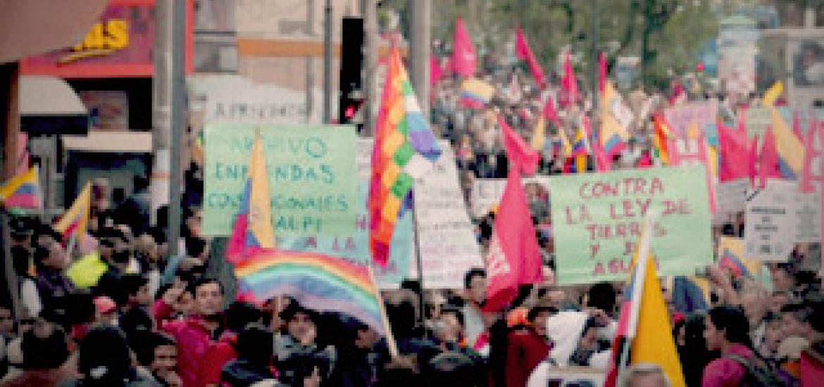 culturas_politicas_reeleccion_manifestantes.jpg