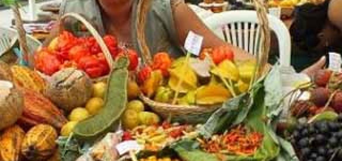 flacso_especiales_foro_agrobiodiversidad.jpg