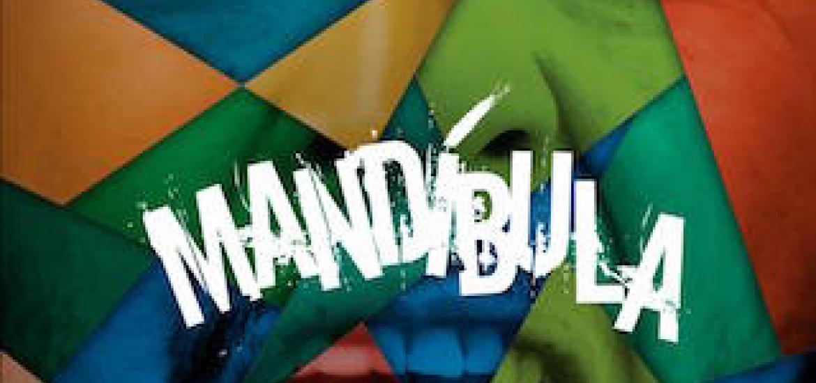 mandibulaprog_88.jpg