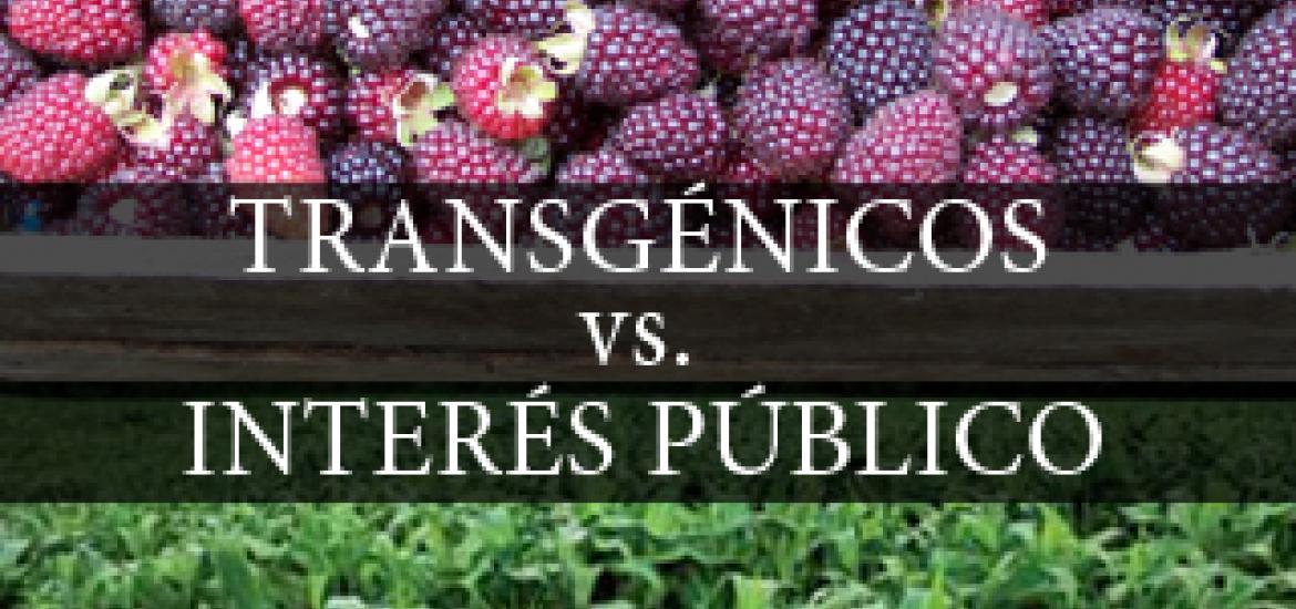 trans_vs_int_publico.jpg