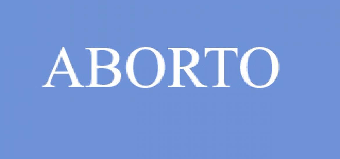 zoon_politikon_soledad_varea_aborto.jpg