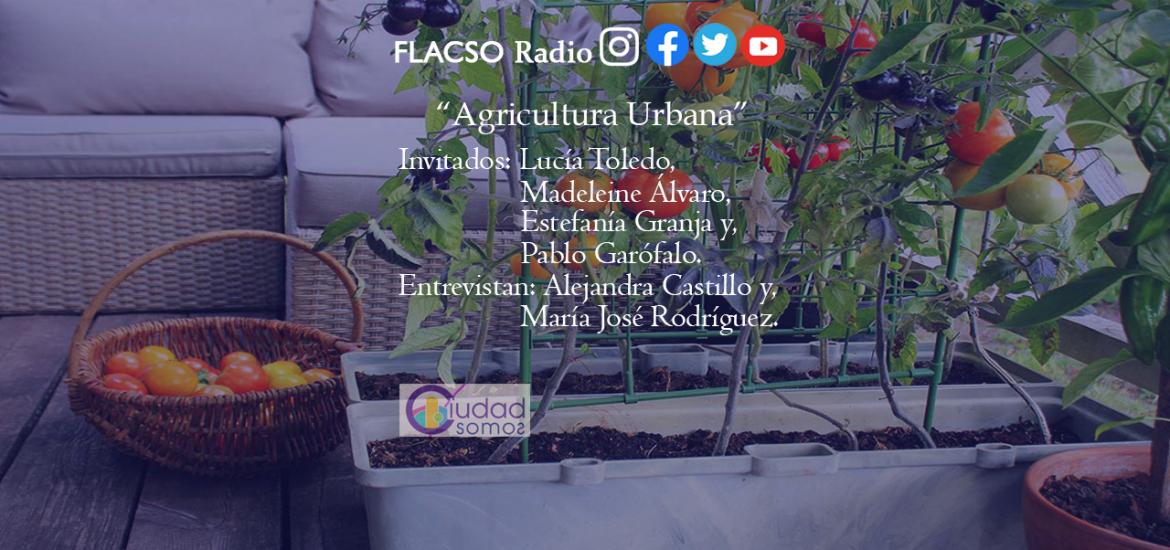 Agricultura urbana en #CiudadSomos