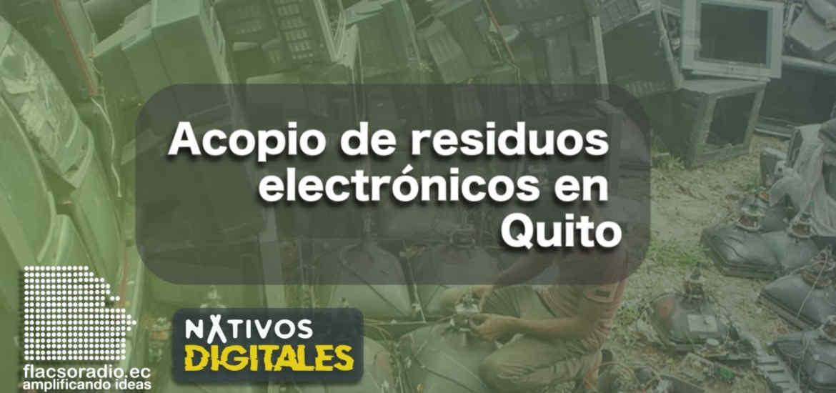 Edición 19 Nativos Digitales