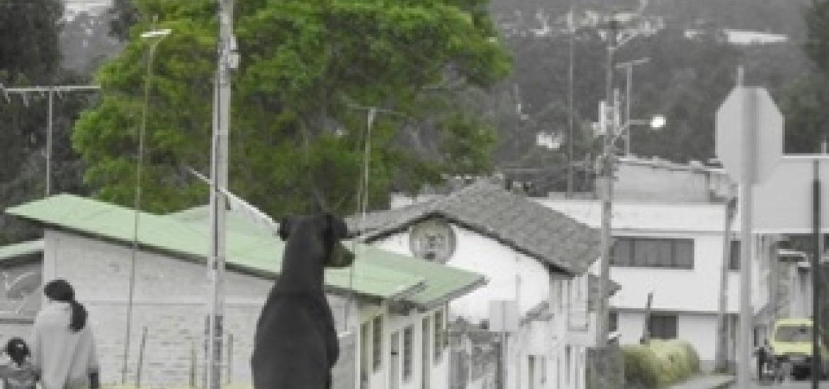 ethos_utopicos_08_14_09_2013.JPG 