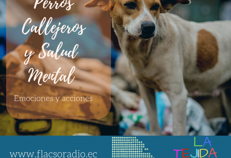 La Tejida - Perros de la calle y Salud Mental 