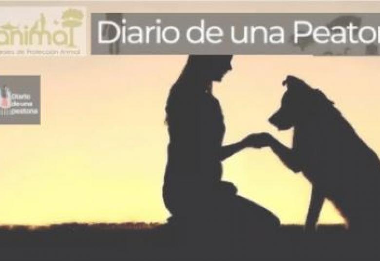 #DiarioDeUnaPeatona - Tema: Animales no humanos en la urbe -01