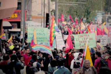 culturas_politicas_reeleccion_manifestantes.jpg