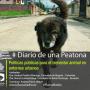 #DiarioDeUnaPeatona Tema: Políticas públicas para el bienestar animal en entornos urbanos 
